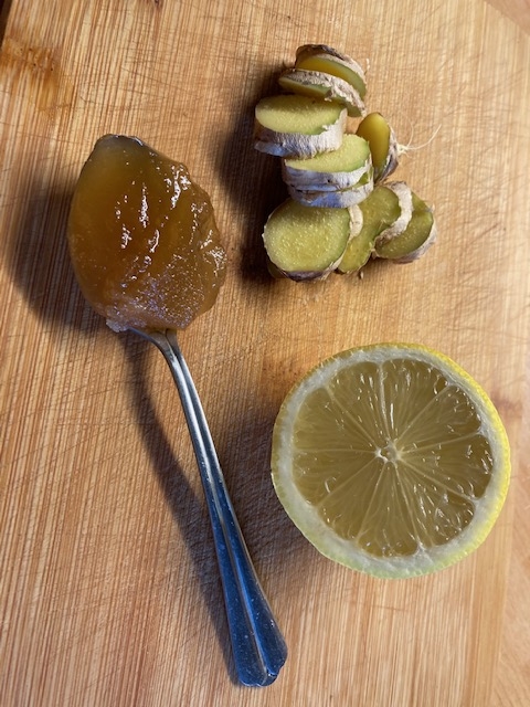 Wild Craft of the Month - Ginger Decoction