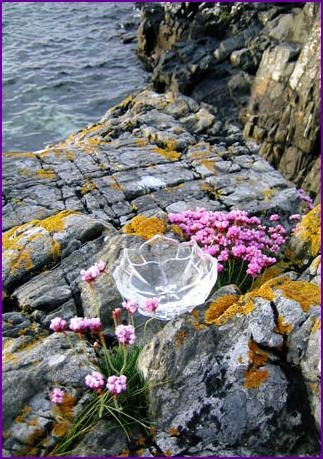 Bowl on Rocks