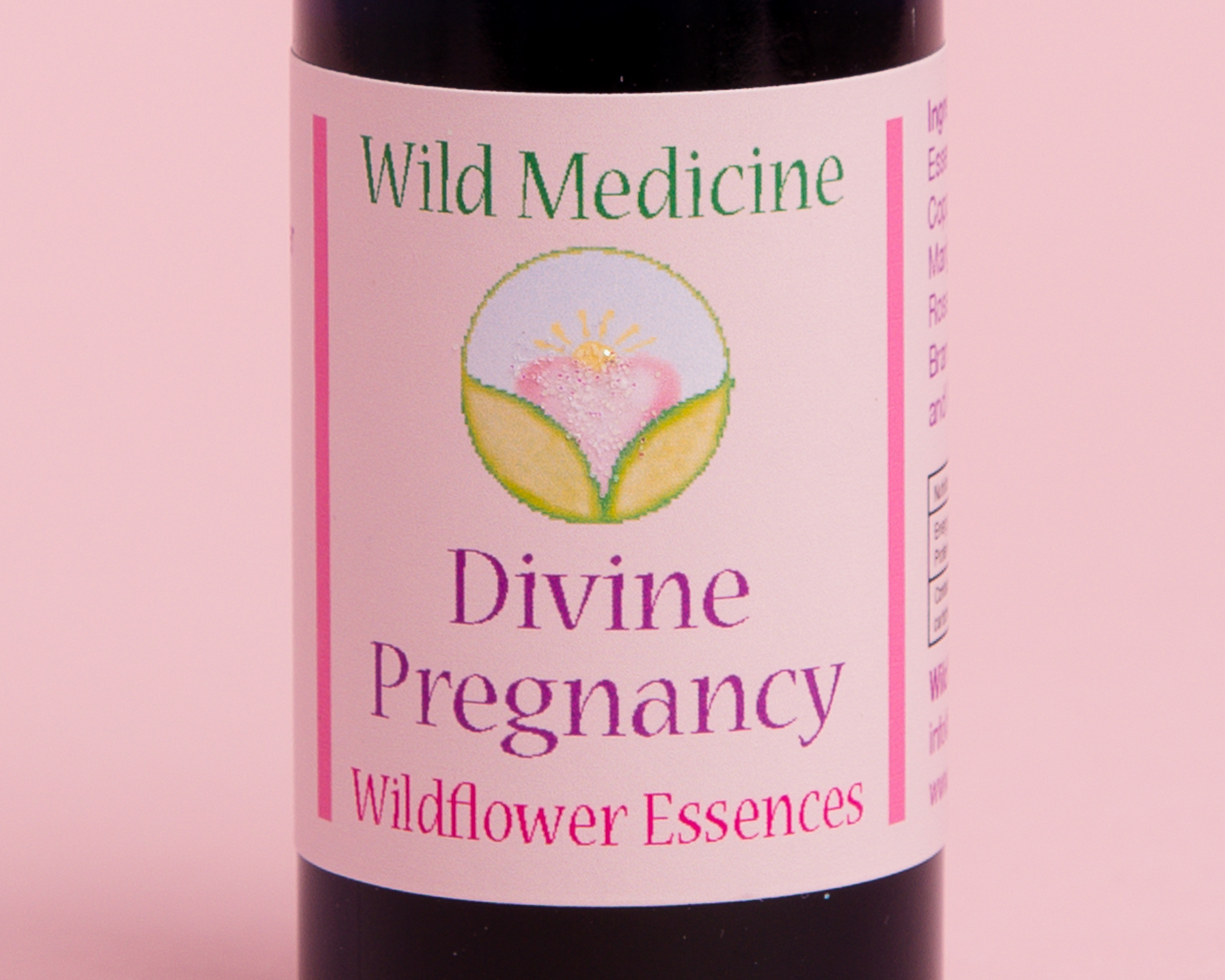 Divine Pregnancy