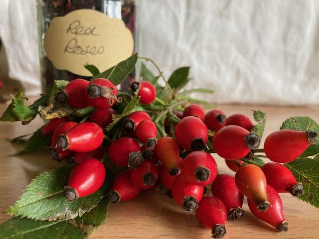 Wild Roses and Rosehips - Pure Love