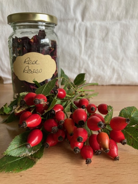 Flower of the Month - Wild Roses and Rosehips