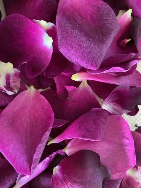 Wild Craft of the Month - Roses